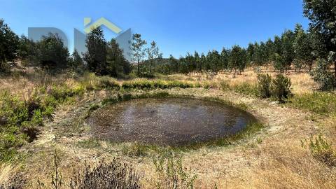 Herdade  Venda em Ninho do Açor e Sobral do Campo,Castelo Branco