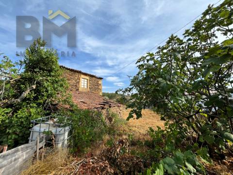 Moradia Devoluta T2 Venda em Salgueiro do Campo,Castelo Branco