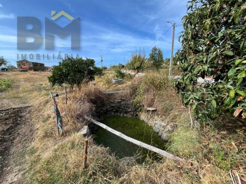 Moradia Devoluta T2 Venda em Salgueiro do Campo,Castelo Branco