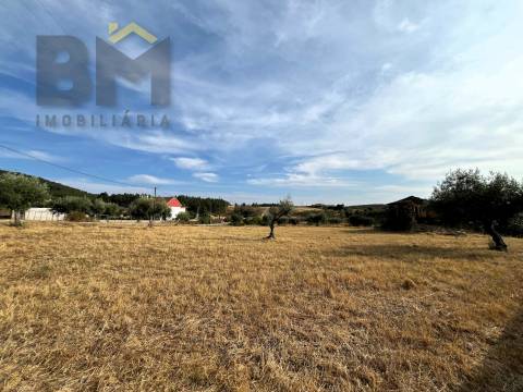 Moradia Devoluta T2 Venda em Salgueiro do Campo,Castelo Branco
