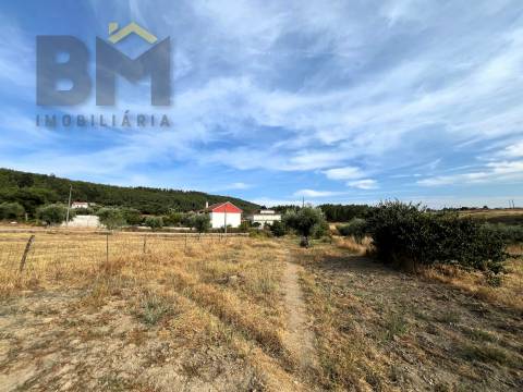 Moradia Devoluta T2 Venda em Salgueiro do Campo,Castelo Branco