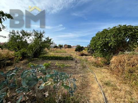 Moradia Devoluta T2 Venda em Salgueiro do Campo,Castelo Branco