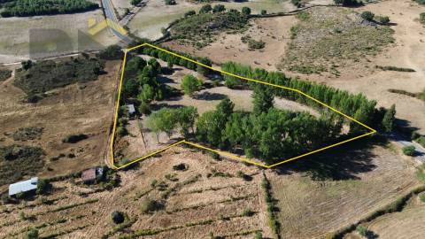 Quinta  Venda em Alcains,Castelo Branco