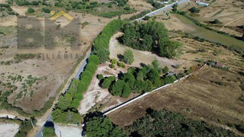 Quinta  Venda em Alcains,Castelo Branco