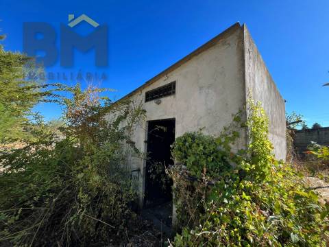 Quinta  Venda em Alcains,Castelo Branco