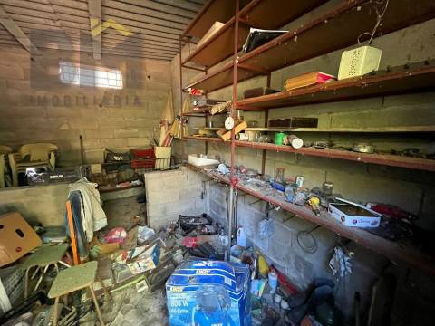 Quinta  Venda em Alcains,Castelo Branco