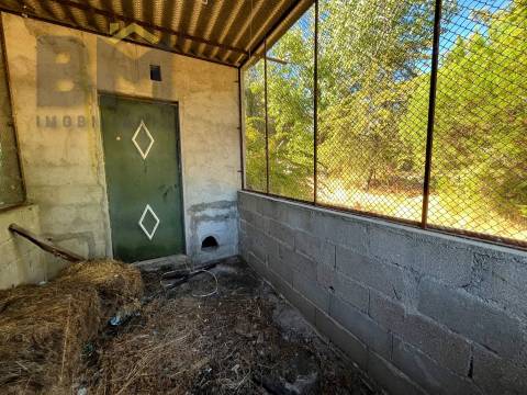 Quinta  Venda em Alcains,Castelo Branco