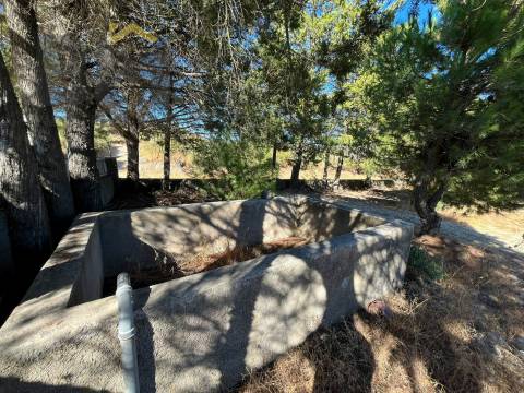 Quinta  Venda em Alcains,Castelo Branco