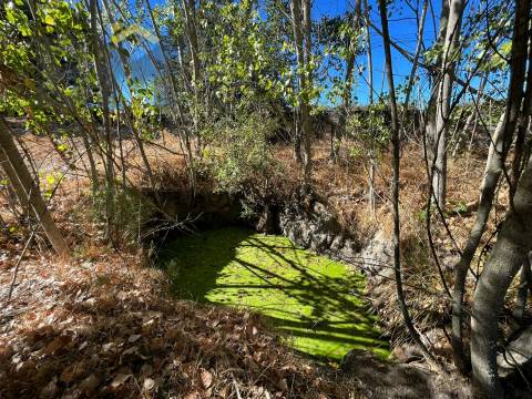 Quinta  Venda em Alcains,Castelo Branco