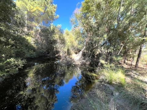 Quinta  Venda em Alcains,Castelo Branco