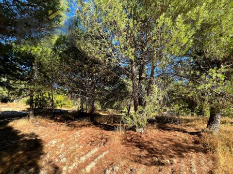 Quinta  Venda em Alcains,Castelo Branco