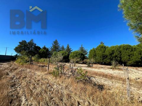 Quinta  Venda em Alcains,Castelo Branco