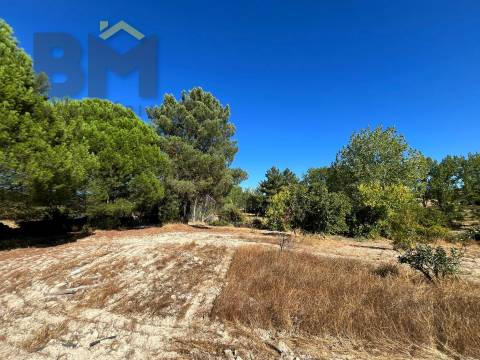 Quinta  Venda em Alcains,Castelo Branco