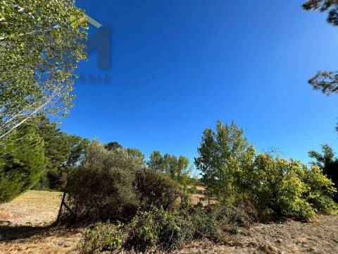 Quinta  Venda em Alcains,Castelo Branco