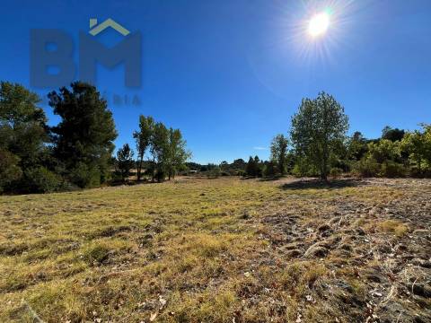 Quinta  Venda em Alcains,Castelo Branco