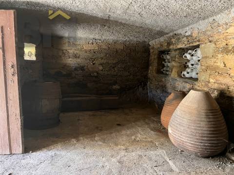 Moradia T3 Venda em Santo André das Tojeiras,Castelo Branco