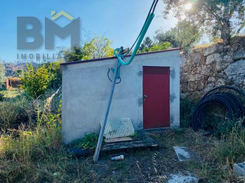 Terreno Rústico  Venda em São Vicente da Beira,Castelo Branco