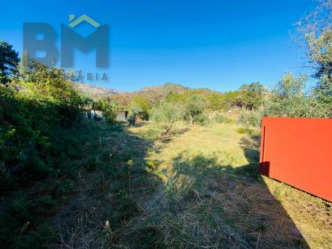 Terreno Rústico  Venda em São Vicente da Beira,Castelo Branco