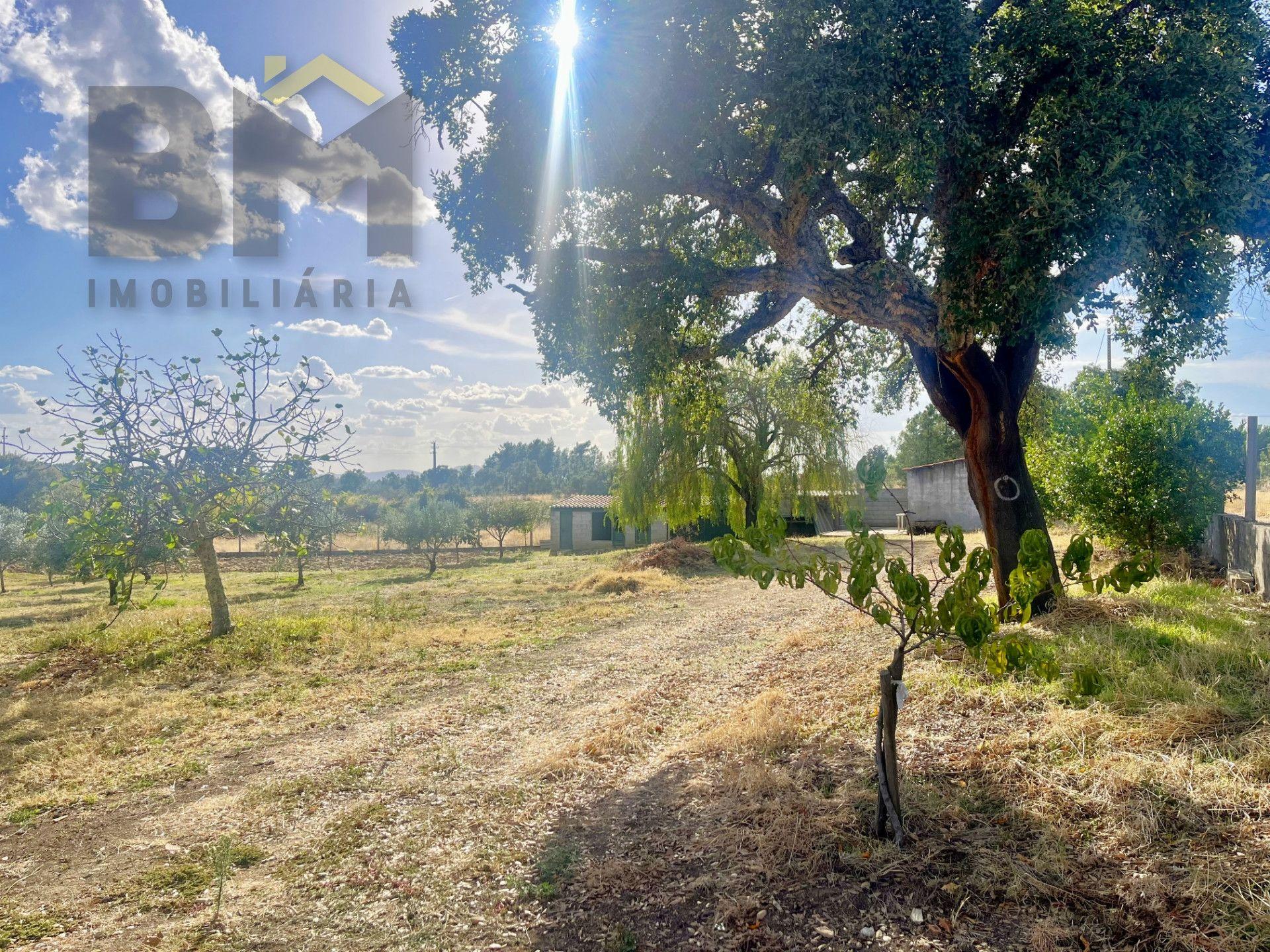 Quintinha  Venda em Cebolais de Cima e Retaxo,Castelo Branco