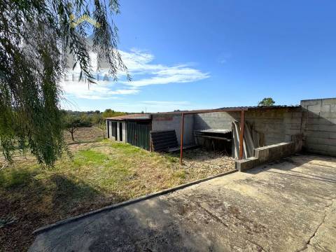 Quintinha  Venda em Cebolais de Cima e Retaxo,Castelo Branco