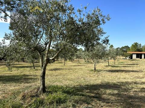 Quintinha  Venda em Cebolais de Cima e Retaxo,Castelo Branco