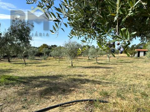 Quintinha  Venda em Cebolais de Cima e Retaxo,Castelo Branco