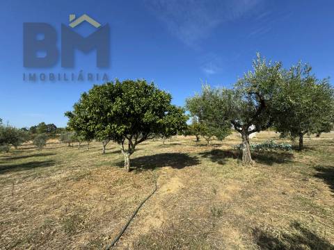 Quintinha  Venda em Cebolais de Cima e Retaxo,Castelo Branco