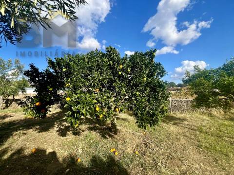 Quintinha  Venda em Cebolais de Cima e Retaxo,Castelo Branco