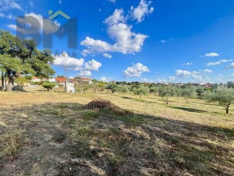 Quintinha  Venda em Cebolais de Cima e Retaxo,Castelo Branco