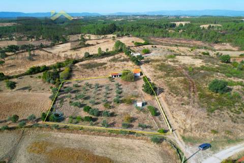Quintinha  Venda em Cebolais de Cima e Retaxo,Castelo Branco