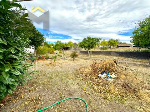 Moradia T4 Venda em Escalos de Cima e Lousa,Castelo Branco