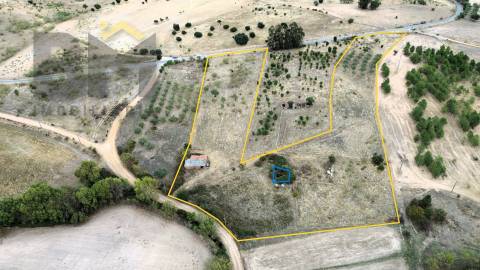 Quinta  Venda em Monforte da Beira,Castelo Branco