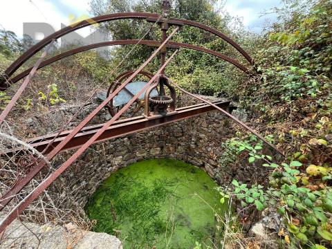 Quinta  Venda em Monforte da Beira,Castelo Branco