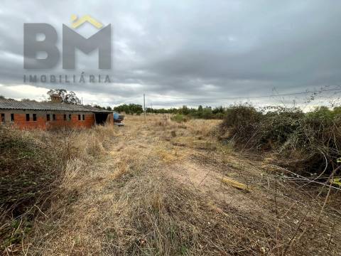 Quinta  Venda em Monforte da Beira,Castelo Branco