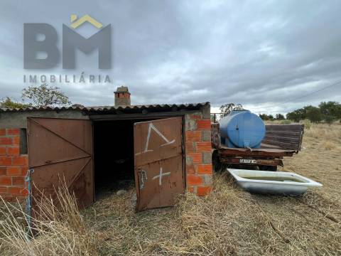 Quinta  Venda em Monforte da Beira,Castelo Branco