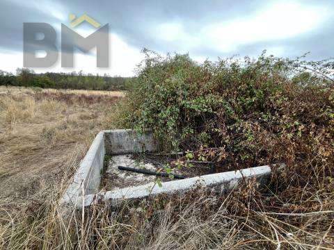 Quinta  Venda em Monforte da Beira,Castelo Branco