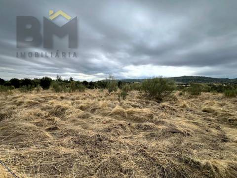 Quinta  Venda em Monforte da Beira,Castelo Branco