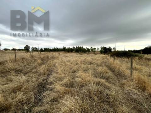 Quinta  Venda em Monforte da Beira,Castelo Branco