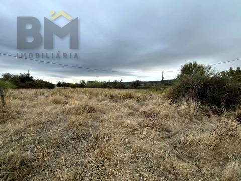 Quinta  Venda em Monforte da Beira,Castelo Branco