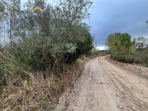 Quinta  Venda em Monforte da Beira,Castelo Branco