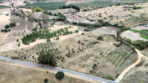 Quinta  Venda em Monforte da Beira,Castelo Branco