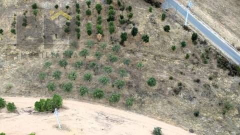 Quinta  Venda em Monforte da Beira,Castelo Branco
