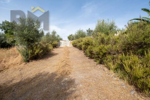 Quinta  Venda em Ninho do Açor e Sobral do Campo,Castelo Branco