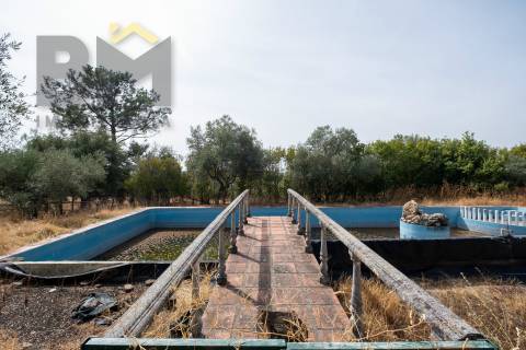 Quinta  Venda em Ninho do Açor e Sobral do Campo,Castelo Branco