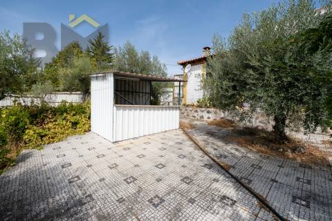 Quinta  Venda em Ninho do Açor e Sobral do Campo,Castelo Branco