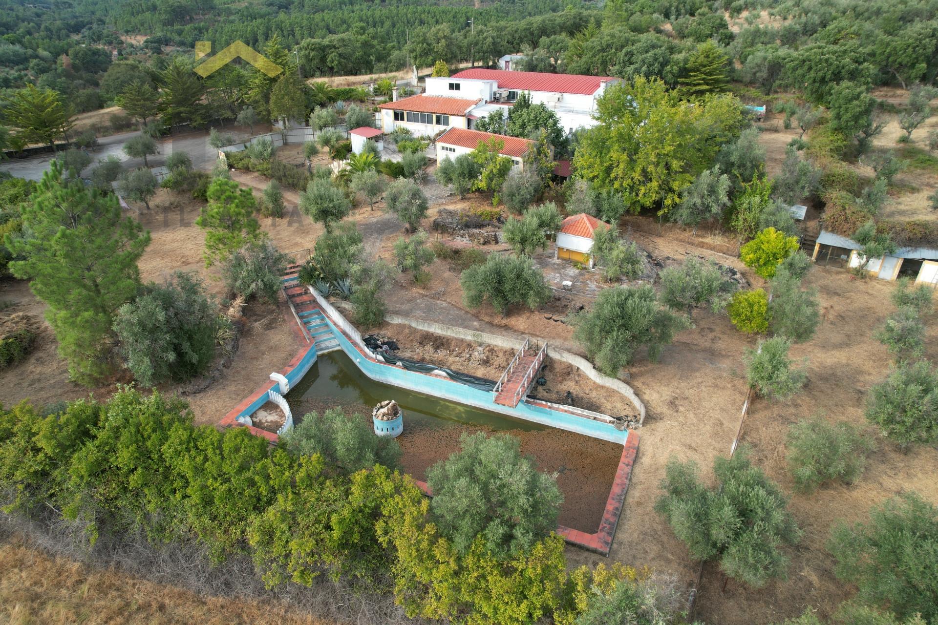 Quinta  Venda em Ninho do Açor e Sobral do Campo,Castelo Branco