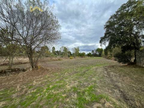 Quintinha  Venda em Póvoa de Rio de Moinhos e Cafede,Castelo Branco