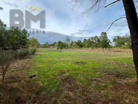Quintinha  Venda em Póvoa de Rio de Moinhos e Cafede,Castelo Branco