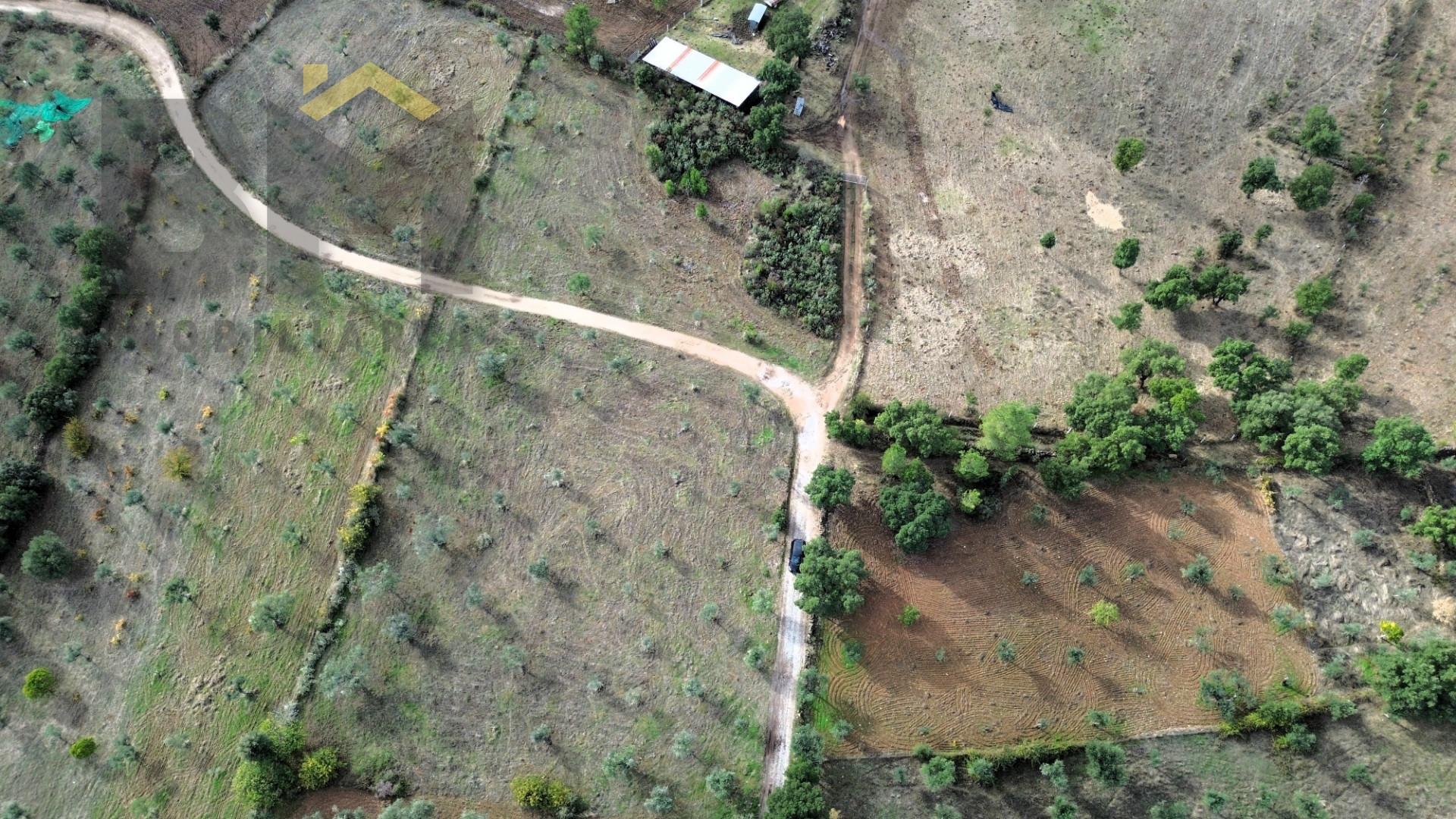 Terreno Rústico  Venda em Ninho do Açor e Sobral do Campo,Castelo Branco