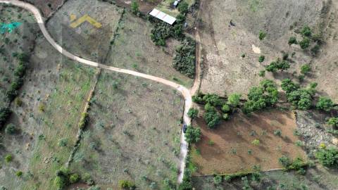 Terreno Rústico  Venda em Ninho do Açor e Sobral do Campo,Castelo Branco